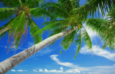 Similar image 1281212