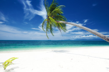 Similar image 1281219