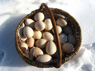 Similar image 1281265