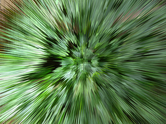 Similar image 1281267