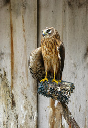 Similar image 1281290