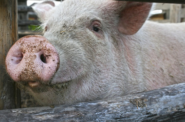 Similar image 1281295