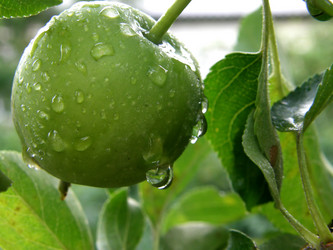 Similar image 1281370