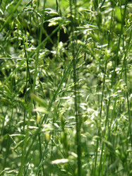 Similar image 1281382