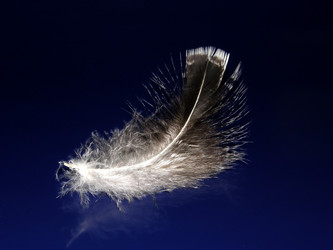 Similar image 1281383