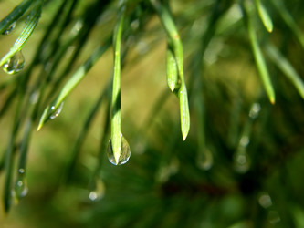 Similar image 1281387