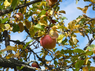 Similar image 1281401