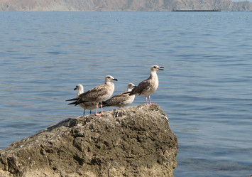 Similar image 1281404