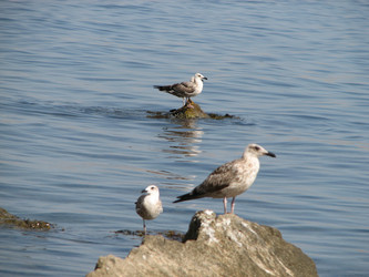 Similar image 1281405