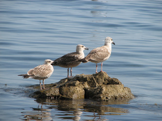 Similar image 1281407