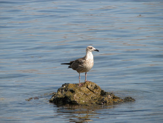 Similar image 1281408