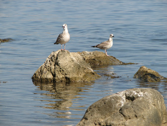 Similar image 1281409