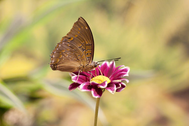 Similar image 1281419