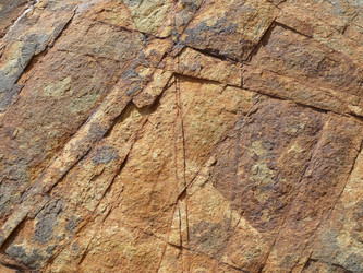 Similar image 1281430