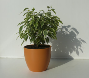 Similar image 1281432