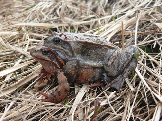 Similar image 1281437