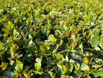 Similar image 1281444