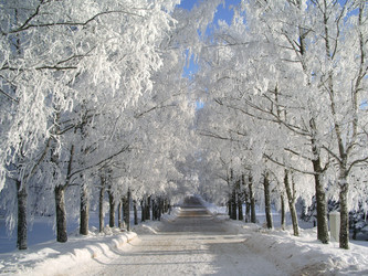 Similar image 1281446