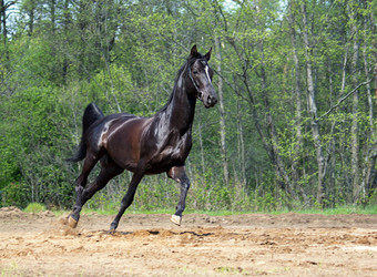 Similar image 1281450