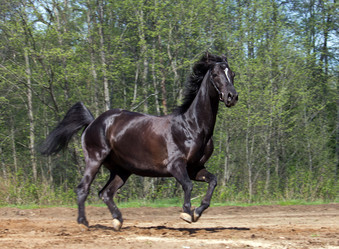 Similar image 1281451