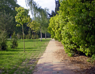 Similar image 1281455