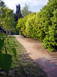 Similar image 1281457