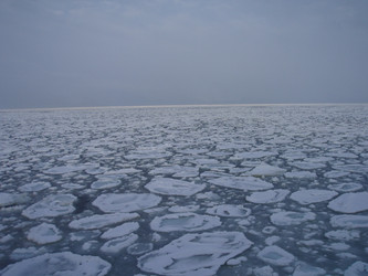 Similar image 1281466