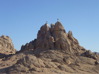 Similar image 1281702