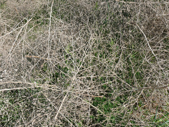 Similar image 1281704