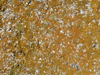 Similar image 1281710