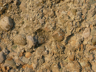 Similar image 1281711