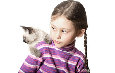 Similar image 1281713