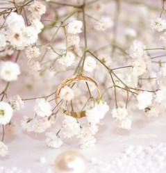 Similar image 1281768