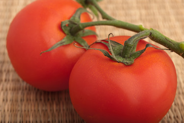 Similar image 1281780