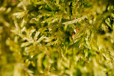 Similar image 1281781