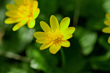 Similar image 1281782