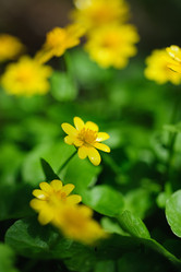 Similar image 1281783