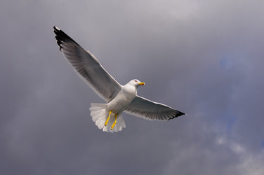 Similar image 1281784