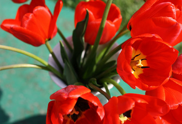 Similar image 1281788