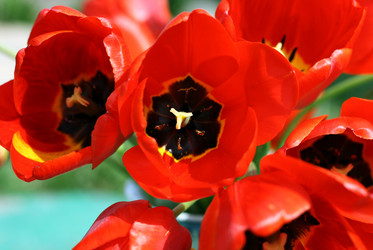 Similar image 1281789