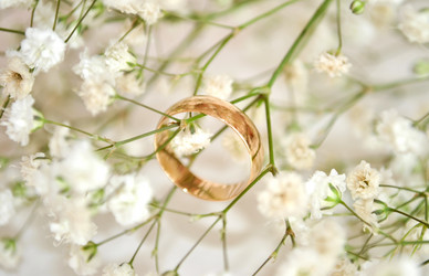 Similar image 1281798