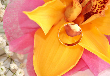 Similar image 1281800