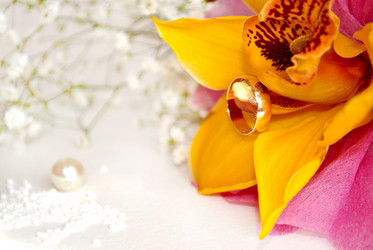 Similar image 1281801