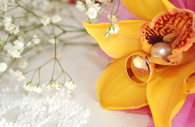 Similar image 1281802