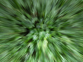 Similar image 1281812