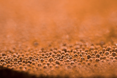 Similar image 1281831