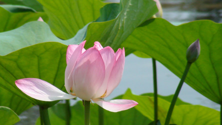 Similar image 1281837