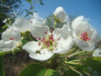 Similar image 1281848