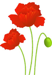 Similar image 1281858