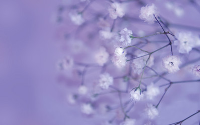 Similar image 1281874